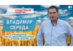 Сорго- стратегічна культура степу України